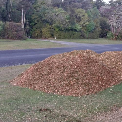 Cam_Ashfield_att.U2py0NAIBYnwV3pfRIPHne9CLTIWNrmJHHkcB9Av1sY