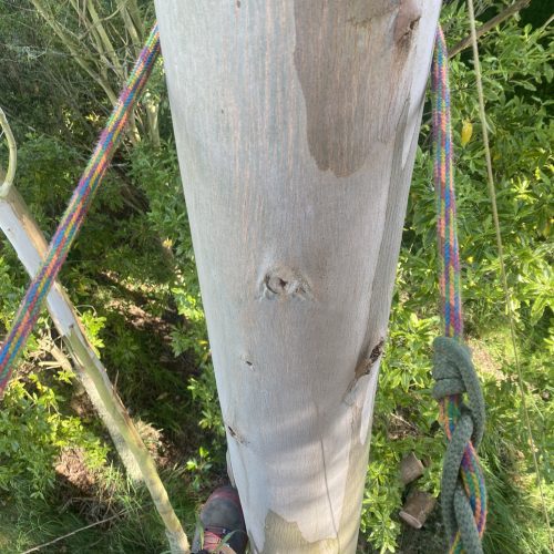 cam_ashfield_IMG_1496