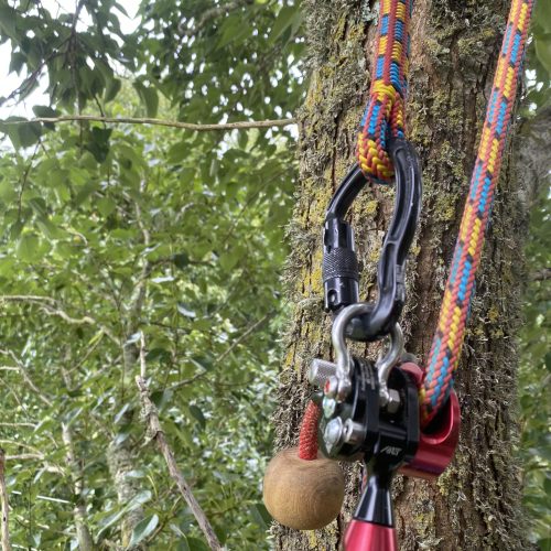 cam_ashfield_IMG_2090